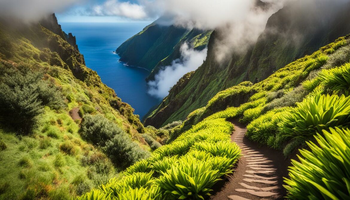 Wetter Madeira Januar – Ideal für Ihre Winterflucht